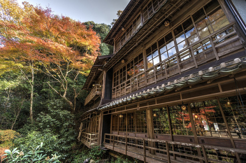 ileftmyheartintokyo:  Wooden Restaurant in the Fall Forest by akirat2011 on Flickr. 