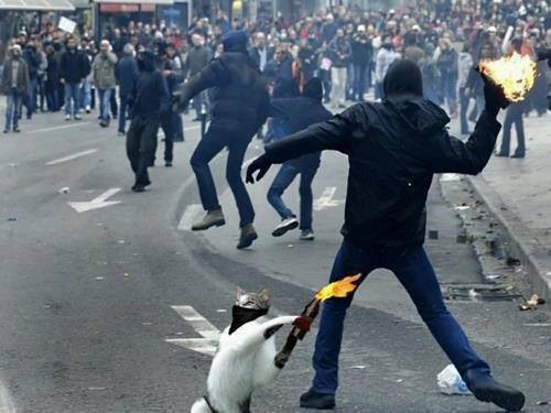 Riot Anti Sistema
