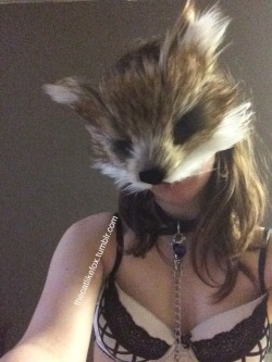 Thecatlikefox:  Lonely Fox Needs Dinner. Don’t Delete My Captions   This Mask Is