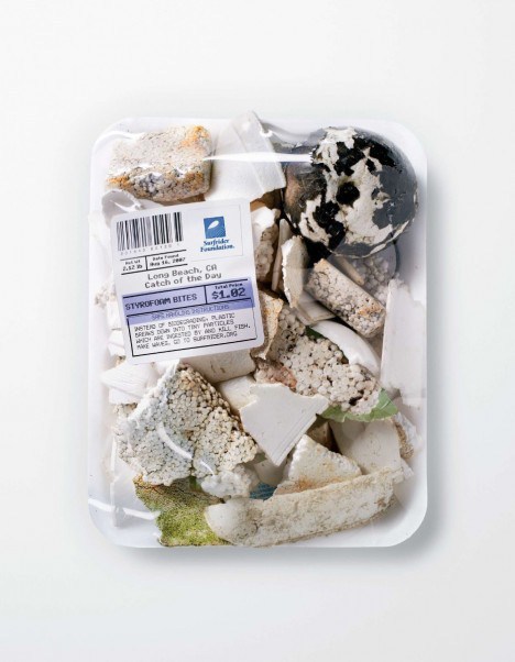 theenergyissue:  &ldquo;Catch of the Day&rdquo; Campaign Presents Trash Fresh