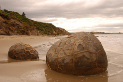 coolthingoftheday: The Moeraki boulders present