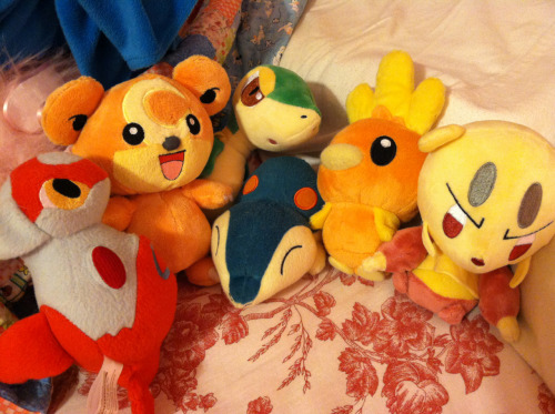 now that I have Mienfoo I have a complete team of tiny Pokemon dolls :3