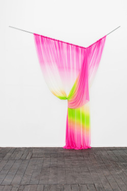 JUSTIN MORIN, How to drape a rosa gallica officinalis, 2015