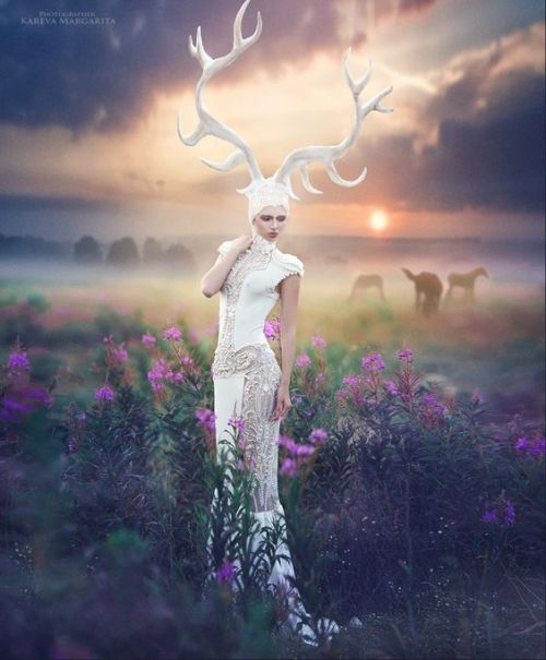 sailleengladelling:White deer by Margarita Kareva.