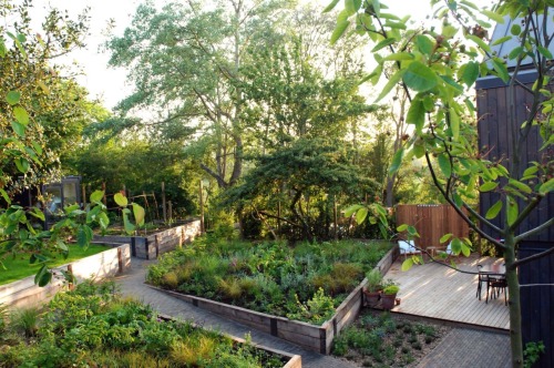 Private garden (UK) | AREA landscape architects