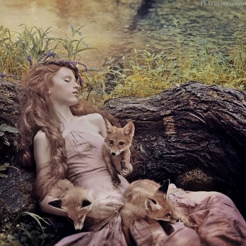 Norse Mythology From A To Z: