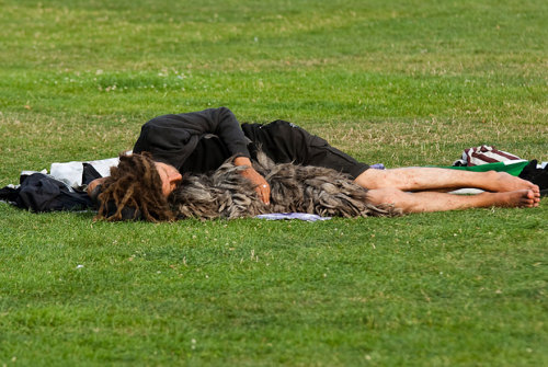 canadianbeerandpostmodernism:“Once a dog forms a close relationship with a caring owner, their loyal