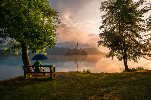 Stunning Bled lake in Slovenia