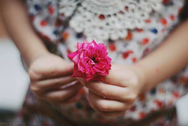 cuprikorn:  There is a garden in every childhood, an enchanted place where colors