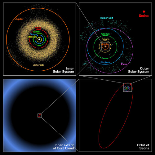 plutopod: 2014 November 21 Orbit of Sedna Explanation: These four panels show the location of 9