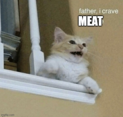 the-based-brit:bleyedtrouble:instructor144:naughtypiggy:johnnyjoestarrelatable:iridescentjaq:johnnyjoestarrelatable:johnnyjoestarrelatable:johnnyjoestarrelatable:i think it’s fucked up that there are plants that decided they wanted to eat meat a