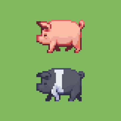 Some pigs for pixel_dailies