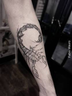 tattoofilter:  Sketch work style scorpion tattoo on the left forearm. Tattoo artist: Fabio Mauro