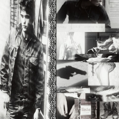 ˙∘Dallas Winston ꪆৎ˙∘