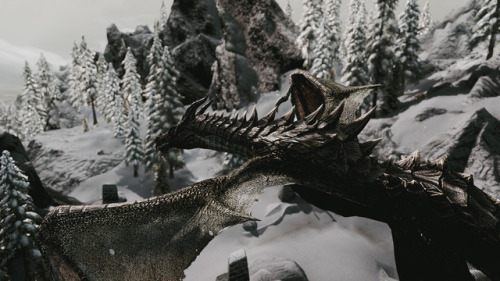 just another dragon, this one flying above shearpoint