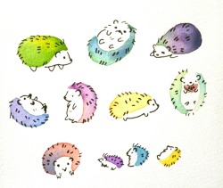 mayolo:homayglob hedgehog blobs!!!