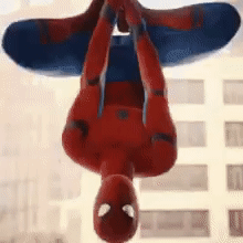 Spiderkoo