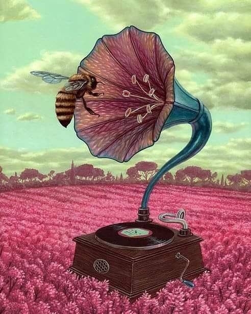 • Vinyl Art •⋅ Untitled ⋅artist: Casey Weldon@33.45rpmz@caseyweldon#vinylart #caseyweldon #spring #h