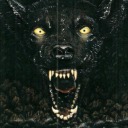 coyoteface avatar
