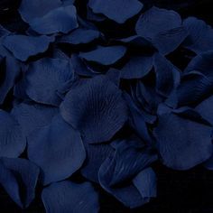 baetology:  blue moods // @strivingking22