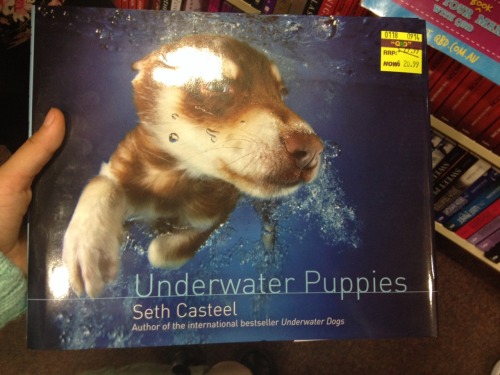 I FOUND A BOOK CALLED UNDERWATER PUPPIES AND IT IS JUST 113 PAGES FILLED WITH NOTHING BUT PICTURES O