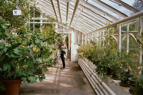 benzynne:My sister inspecting plants in the botanical garden of Oslo \ Olympus OM2