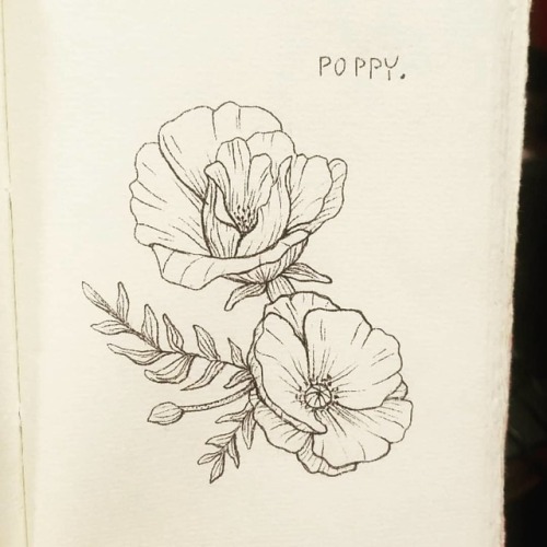 Probably wont hit every day this #inktober but here is a poppy flower to get the month started. Not 