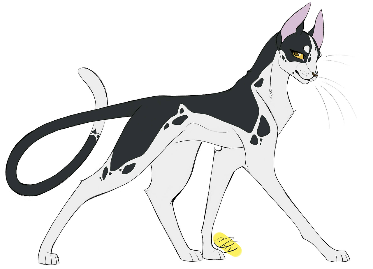 warrior cats designs — 100+ Warrior Cats Challenge! Day 81