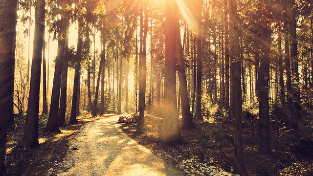 brutalgeneration:  Turn it on by whats_ur_flava2000 on Flickr. 