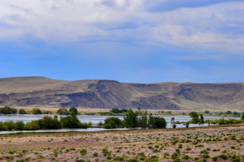 I went to some pretty places last weekend Hanford Reach National Monument Palouse Falls State Park