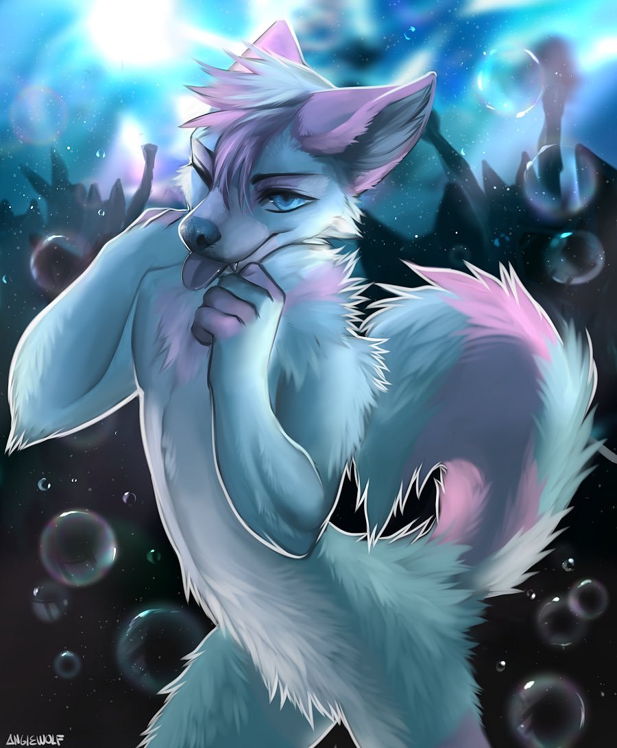 angiewolf:Commission for DeiviHusky Cutie &lt;3