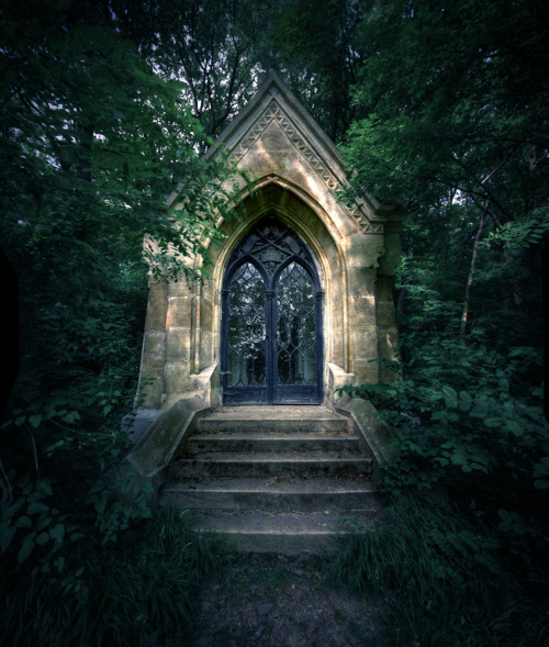 abandonedography:  Old Cemetery - Kahlenberg, Vienna by focusgallery 
