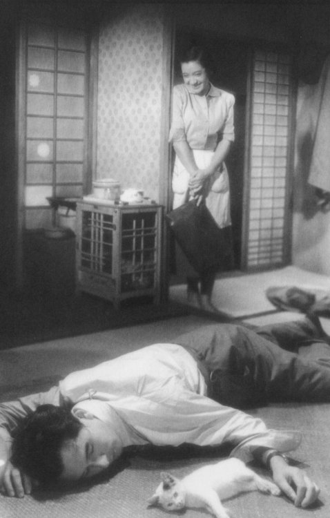 shihlun:Setsuko Hara and Ken Uehara with a cat in Mikio Naruse’s film Repast (1951).