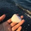 cleverbeautyoutdoorspasta-blog