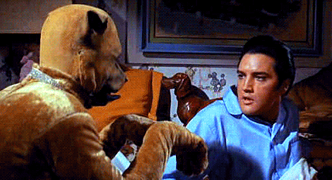 Elvis has a conversation with a dog in, Live a Little, Love a Little (1968)