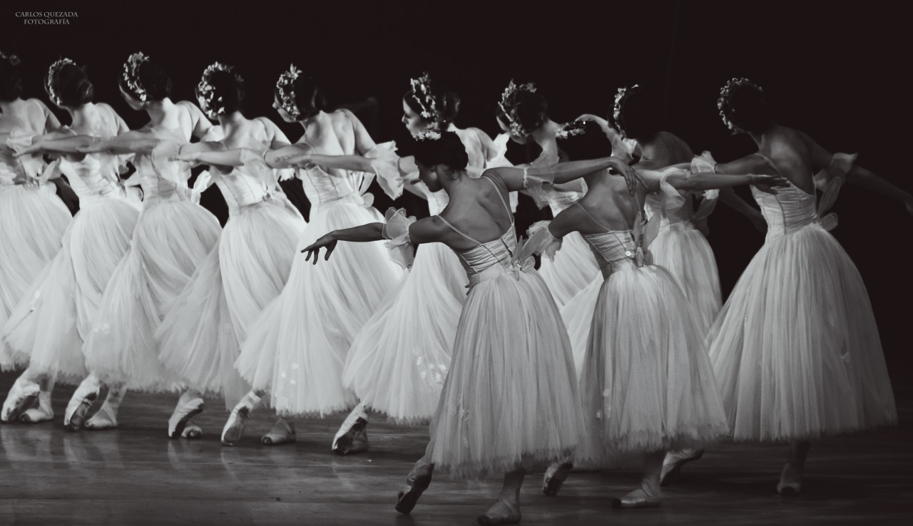 carlosquezadaph:  Compañía Nacional de Danza . México  Giselle . Willis Corps