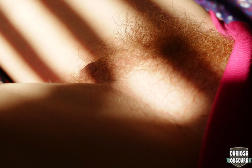 curiosa-obscura: hairy sunshine follow us for more homemade nudie pics ;] 
