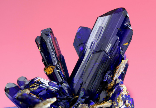 themineralogist:Azurite (by josminer62)