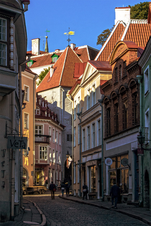 2seeitall:Streets of Old Tallinn, Estonia✧ Tallinn | Baltic states ✧