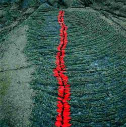 gacougnol:  Nils UdoCrack on Lava Flowers petals called Tongues of Fire Reunion Island 1990