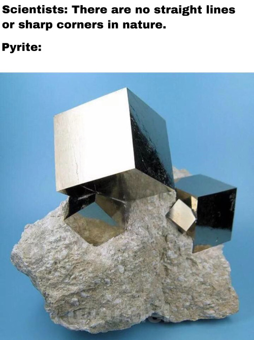 therealraewest:newtonpermetersquare:This meme is goldIt’s actually pyrite, easy mistake tho