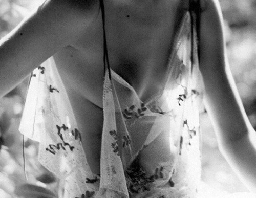 noiredesir:Gossamer.