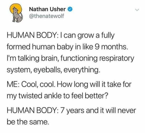 meirl