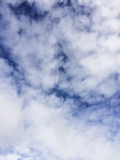 venula:  Finding forgiveness, 11/22/14