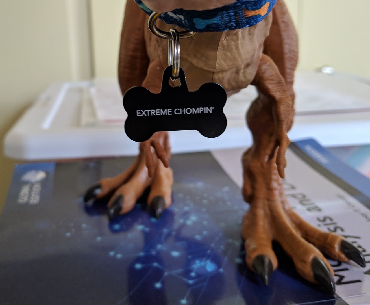 bunjywunjy: brain-cells-for-sale:  bunjywunjy:  bunjywunjy:  nuggsmum:  crochetninja: