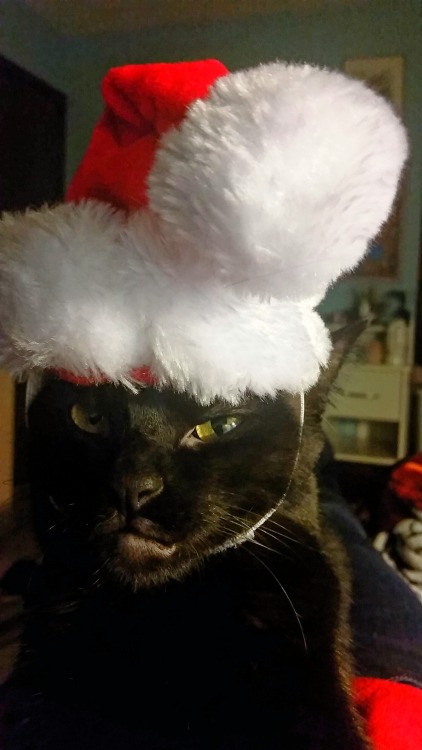 legendofthefairies:Lucy is the Grinch tbh and I love her