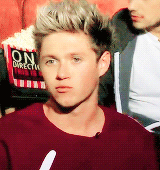 sheniallgans-deactivated2014090:  “He’s cute like, he’s a cute lad.” -Louis