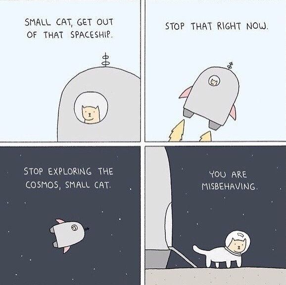 holybazookas:  Bad cat 