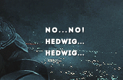 ohsandor:  The Magic Begins ↳ saddest scene