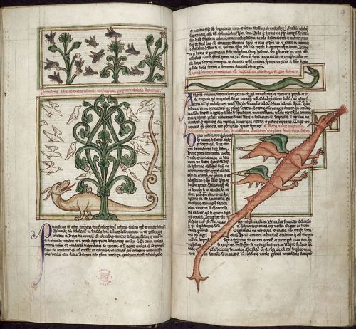 aucelo:Peraldus. Theological miscellany, including the Summa de vitiis. England, 3rd quarter of the 